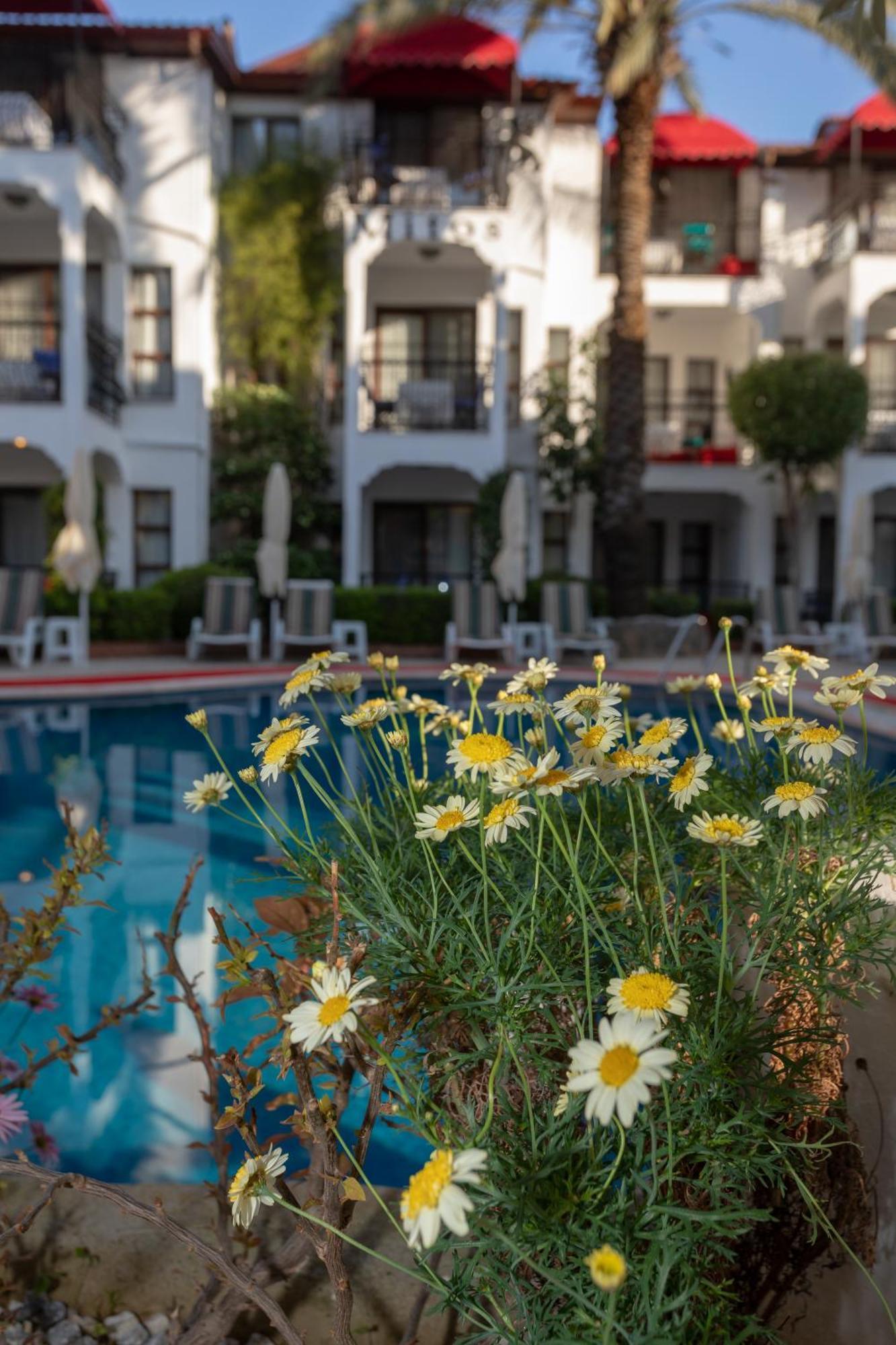 Mitos Apartments Marmaris Kültér fotó